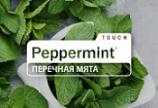 АКЦИЯ ИЮНЯ 2025