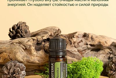 АКЦИЯ НОЯБРЯ 2025