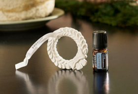 Пихта бальзамическая Пихта бальзамическая